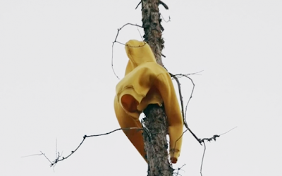 AHS image