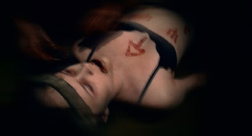 expressway to your skull image