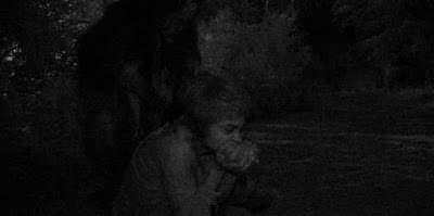 AHS roanoke image