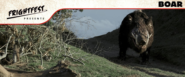 Boar image