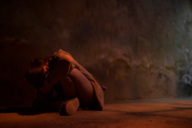 Tigers are not afraid image