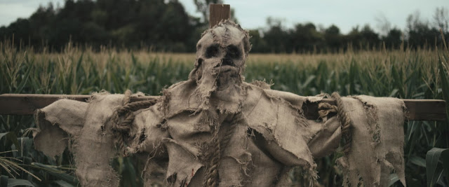Scarecrows Image
