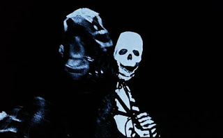 NIGHT CREATURES image