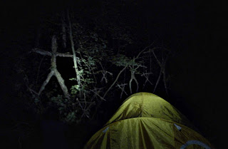 blair witch image