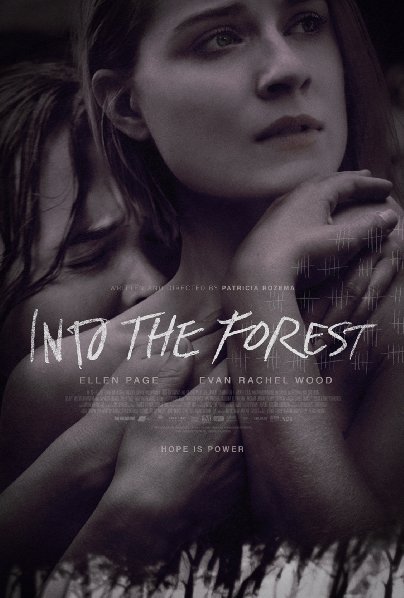 into the forest poster