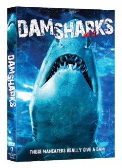 dam sharks box art