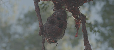 bunnyman vengeance image