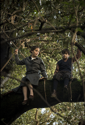 voice from the stone image