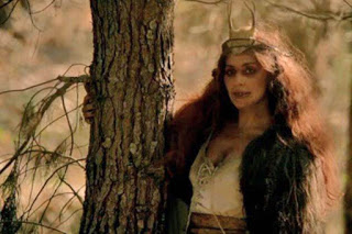 AHS roanoke image