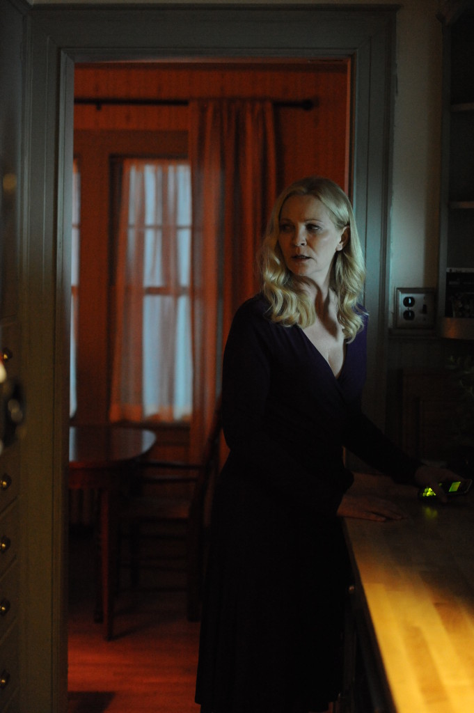 joan allen in a good marriage