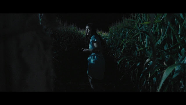 Scarecrows Image