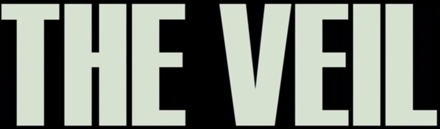 the veil banner