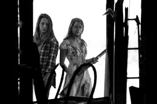 the tribe image