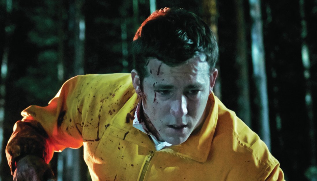 Ryan Reynolds in The Voices