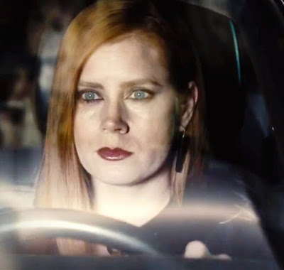 nocturnal animals image