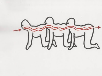 the human centipede diagram